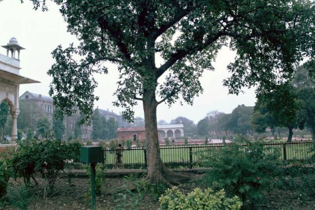 Fort rouge de Delhi