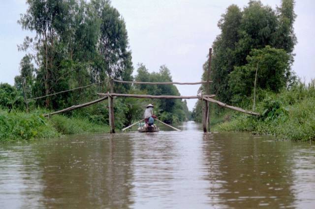 Rives du Mkong