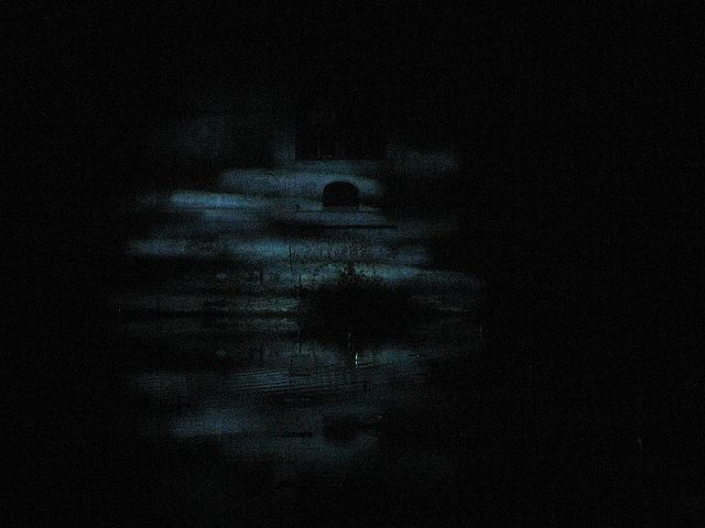 Le jardin des reflets