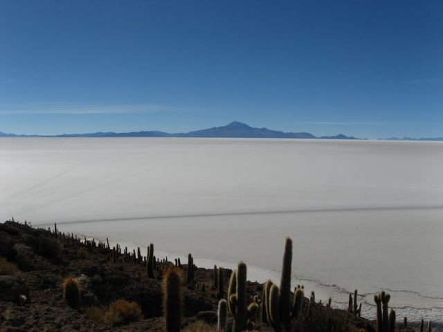 Priple dans le Salar