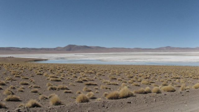 Priple dans le Salar