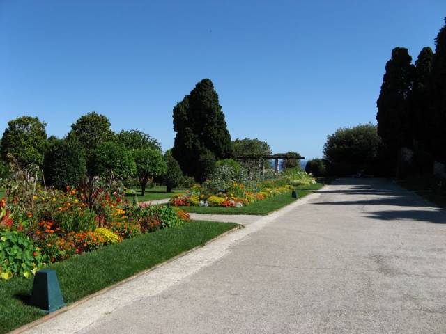 Le jardin de Cimiez