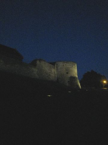 IMG-8242.jpg