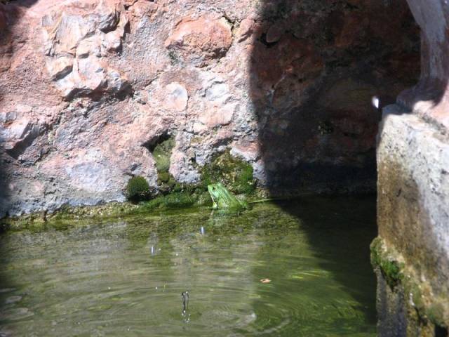 Fontaine de l'abbaye