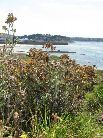Dinard