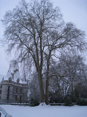 Le parc