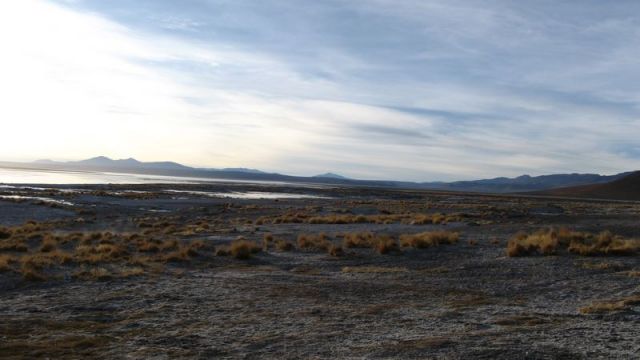 Priple dans le Salar
